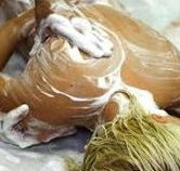 Exotique Massage - SA Accommodation