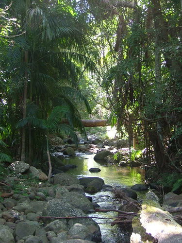 Thunderbird Park - SA Accommodation 2