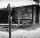 The Baldessin Press - SA Accommodation