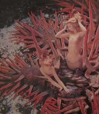 Bower Gallery - SA Accommodation 1