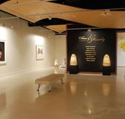 Counihan Gallery In Brunswick - SA Accommodation