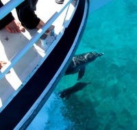 Pelican Charters - SA Accommodation