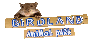 Birdland Animal Park - SA Accommodation 0