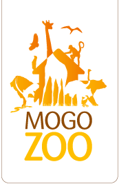 Mogo Zoo - SA Accommodation