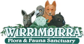 Wirrimbirra Sanctuary - SA Accommodation 0