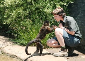 National Zoo & Aquarium - SA Accommodation 1