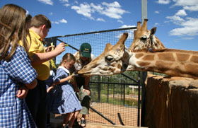 National Zoo & Aquarium - SA Accommodation 2