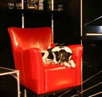 Old Fitzroy Theatre - SA Accommodation