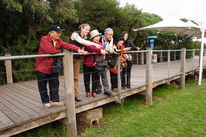 Phillip Island Penguin Parade - SA Accommodation 1