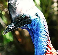 Alma Park Zoo - SA Accommodation