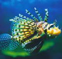 Underwater World - SA Accommodation