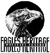 Eagles Heritage - SA Accommodation