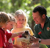 Cleland Wildlife Park - SA Accommodation