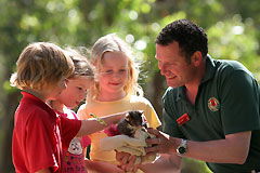 Cleland Wildlife Park - SA Accommodation 0