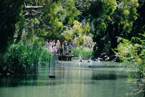 Cleland Wildlife Park - SA Accommodation 1