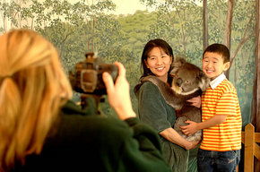 Cleland Wildlife Park - SA Accommodation 2