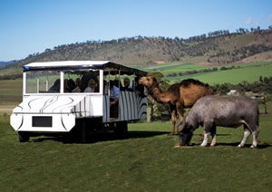Zoo Doo Wildlife Park - SA Accommodation 2
