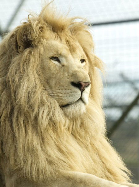 Zoo Doo Wildlife Park - SA Accommodation 3