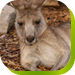 Calmsley Hill City Farm - SA Accommodation 0