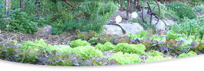 Calmsley Hill City Farm - SA Accommodation 1
