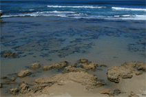 Canberra Contemporary Art Space - SA Accommodation 0