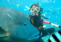 Maxi Ragamuffin - SA Accommodation 1