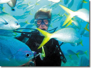 Maxi Ragamuffin - SA Accommodation 3