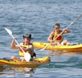 Manly Kayaks - SA Accommodation