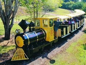 The Big Pineapple - SA Accommodation 1