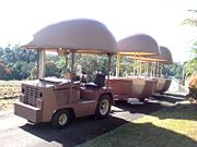 The Big Pineapple - SA Accommodation 2