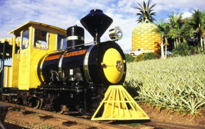 The Big Pineapple - SA Accommodation 3