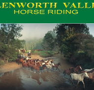 Glenworth Valley Horseriding - SA Accommodation