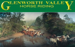 Glenworth Valley Horseriding - SA Accommodation 0