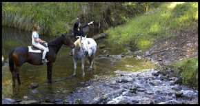 Glenworth Valley Horseriding - SA Accommodation 1