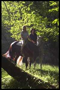 Glenworth Valley Horseriding - SA Accommodation 2