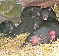 East Coast Natureworld - SA Accommodation
