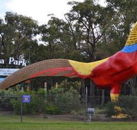 Gumbuya Park - SA Accommodation