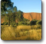 Uluru - Kata Tjuta National Park - SA Accommodation
