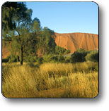 Uluru - Kata Tjuta National Park - SA Accommodation 0