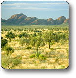 Uluru - Kata Tjuta National Park - SA Accommodation 2