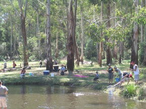 Buxton Trout And Salmon Farm - SA Accommodation 3