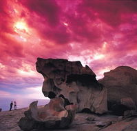 Kangaroo Island Adventure Tour 2 day/1 night - SA Accommodation