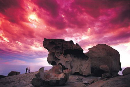 Kangaroo Island Adventure Tour 2 Day/1 Night - SA Accommodation 0