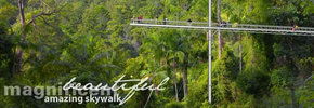 Rainforest Skywalk - SA Accommodation 2