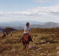 High Country Horses - SA Accommodation