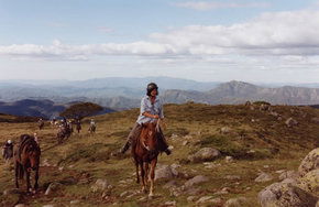High Country Horses - SA Accommodation 0