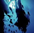 Scuba World - SA Accommodation
