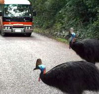 Kookaburra Tours - SA Accommodation