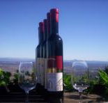 Mount Tamborine Winery  Homestead - SA Accommodation