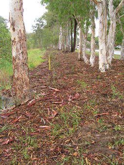 Kumbartcho Sanctuary - SA Accommodation 1